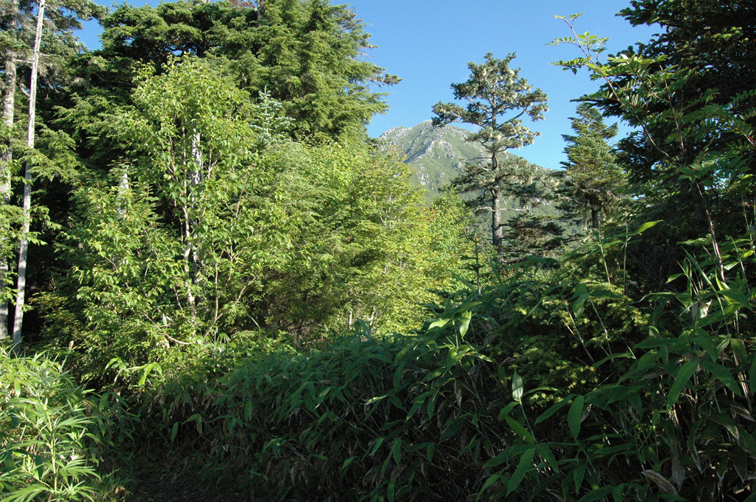 常念岳 登山