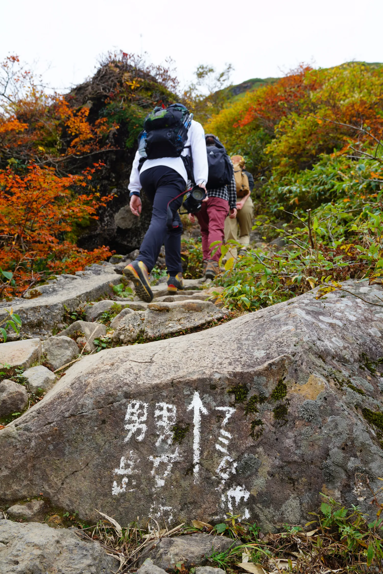 紅葉の秋田駒ヶ岳 登山