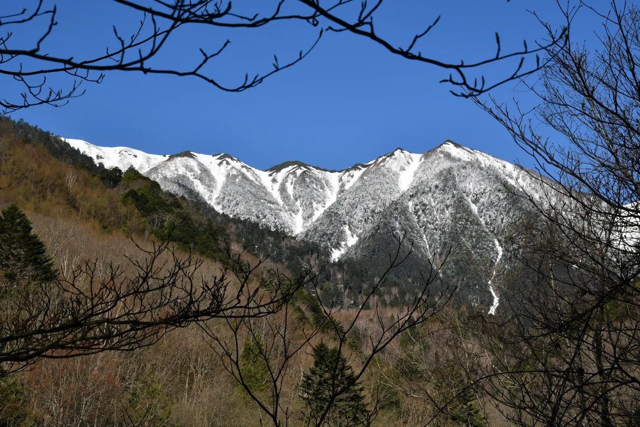 蝶ヶ岳 残雪期 登山