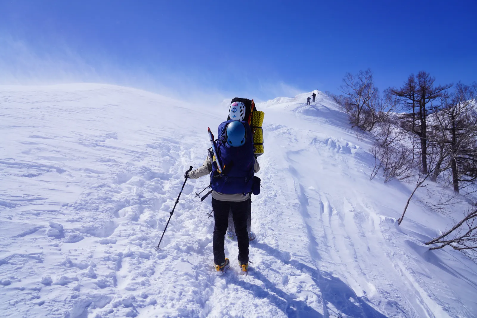 五竜岳 遠見尾根 冬季雪上テント泊