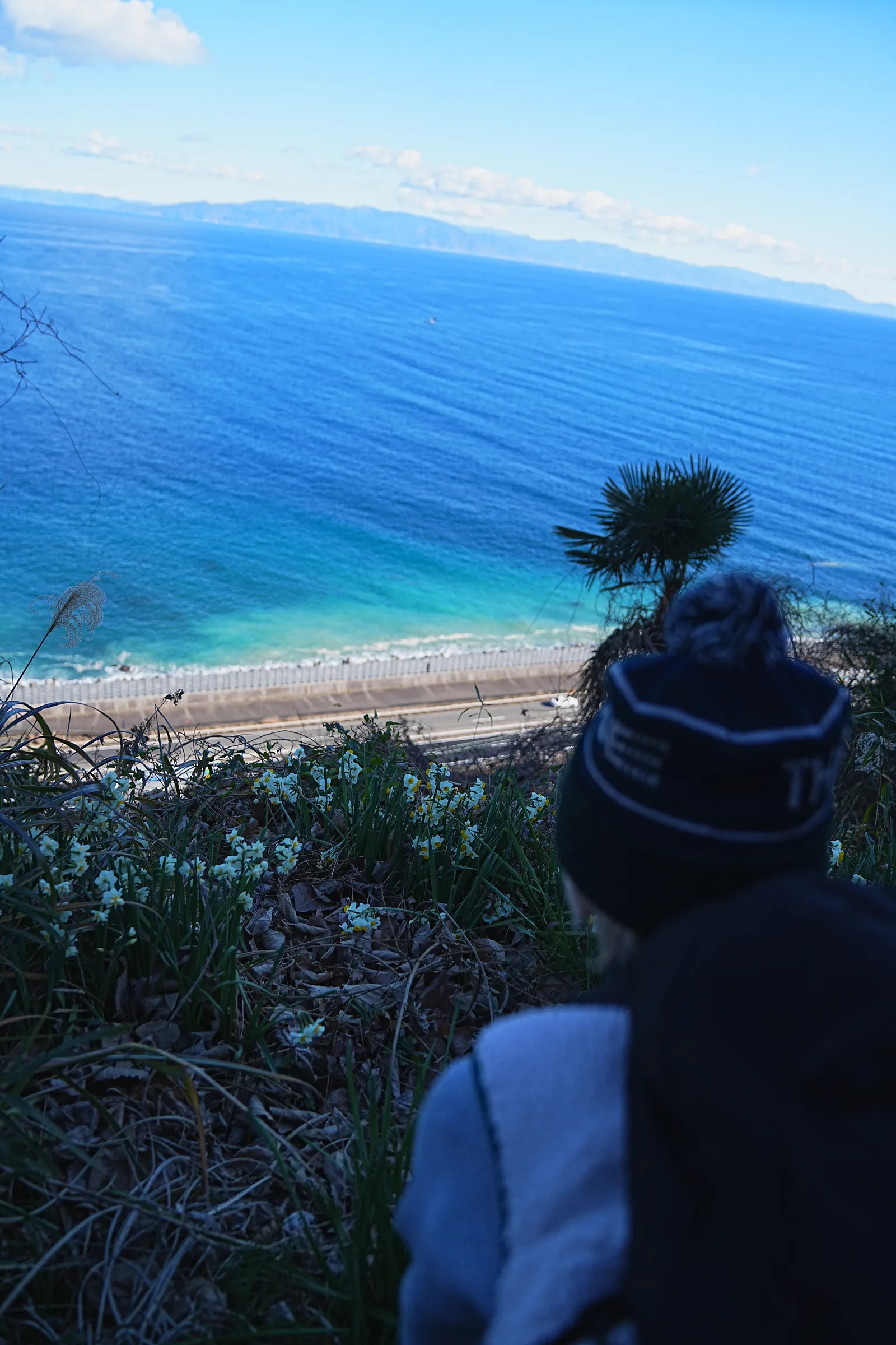 巨大な富士山を見に静岡、浜石岳・薩埵峠へ