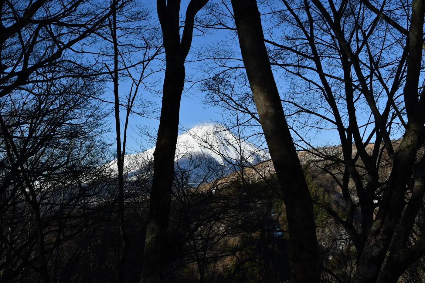 石割山・大平山 ハイキング