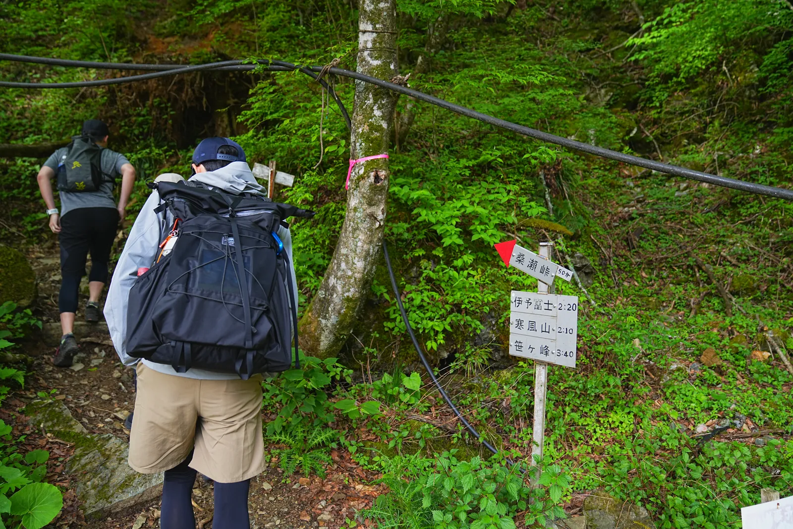 伊予富士 登山