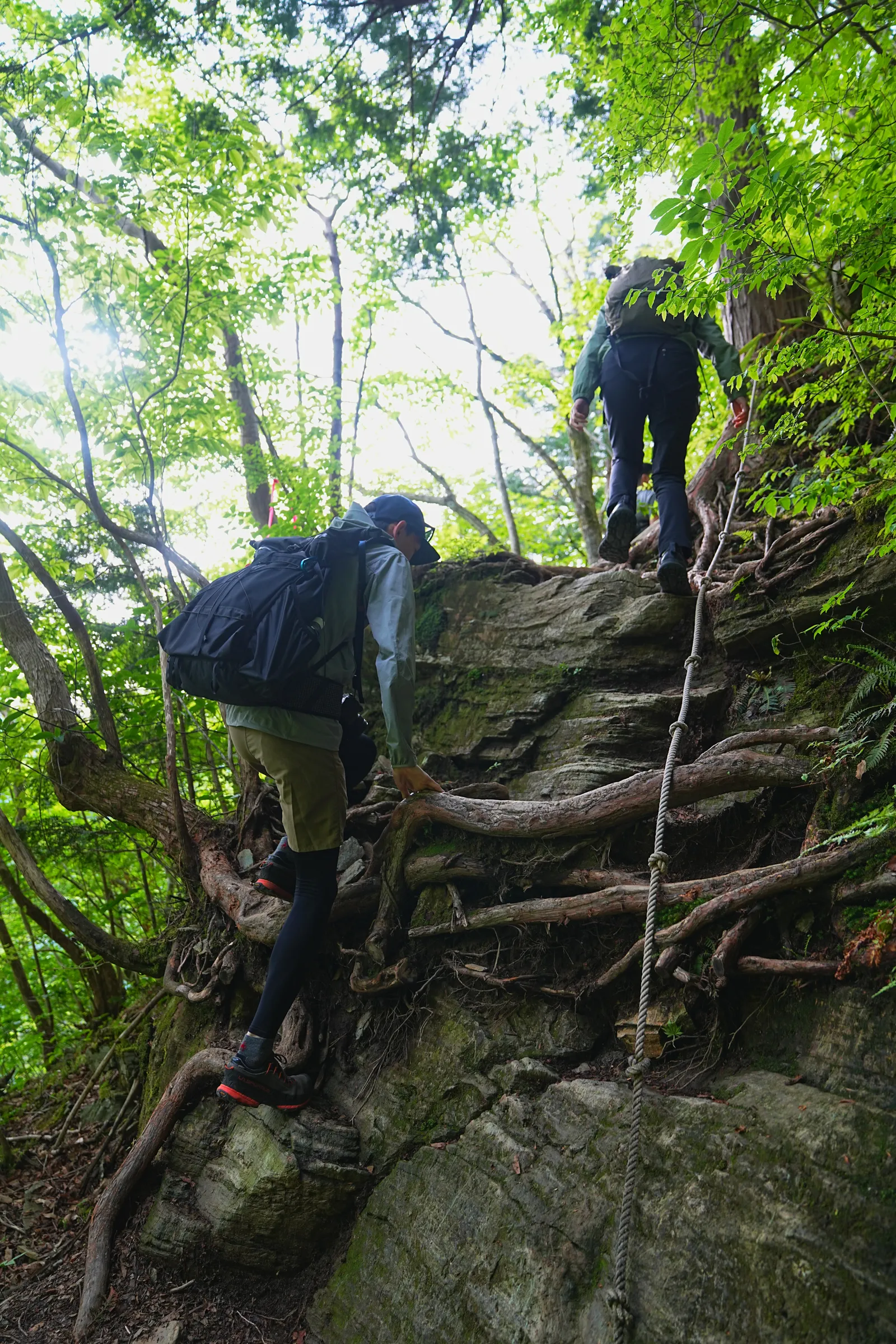 伊予富士 登山