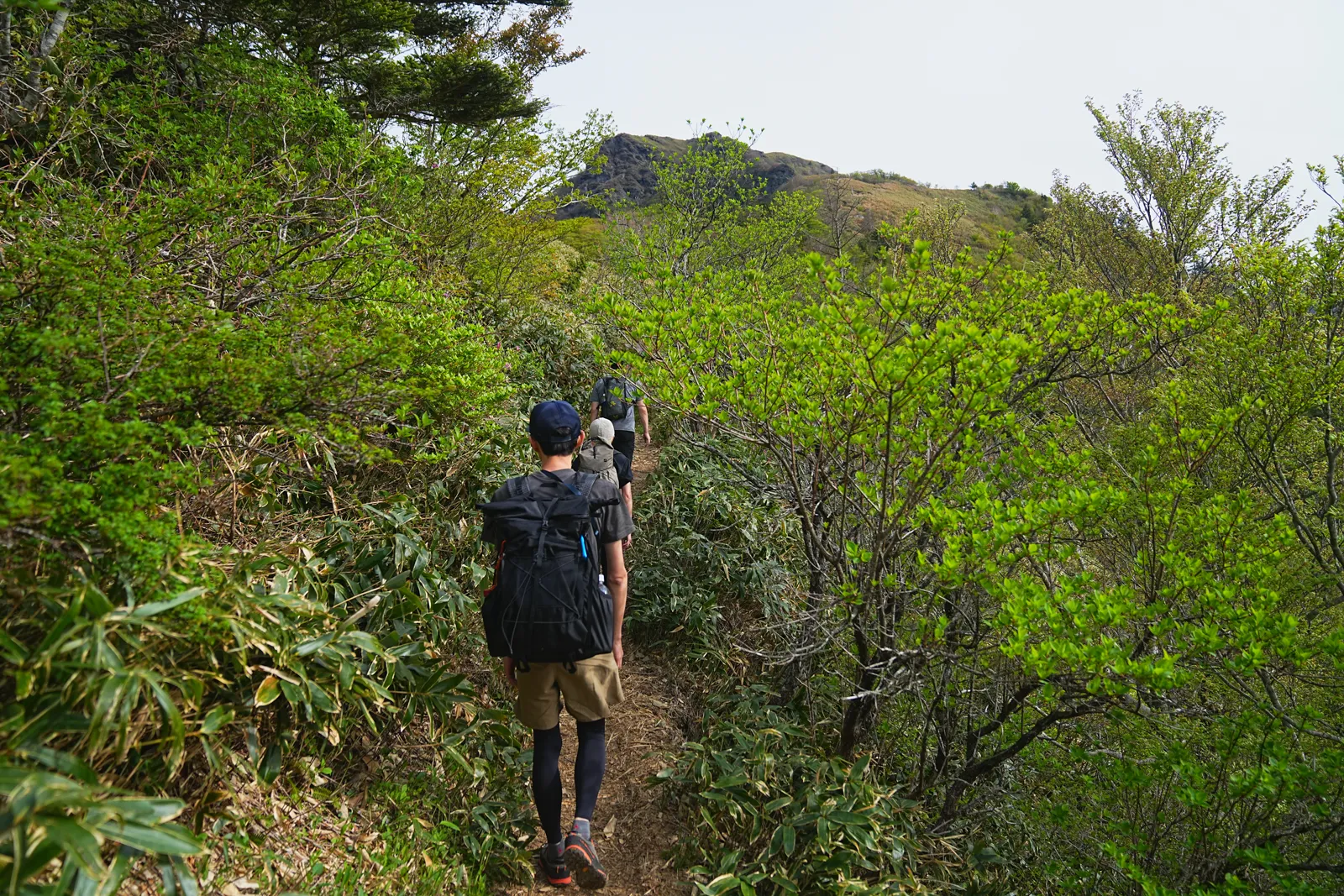 伊予富士 登山