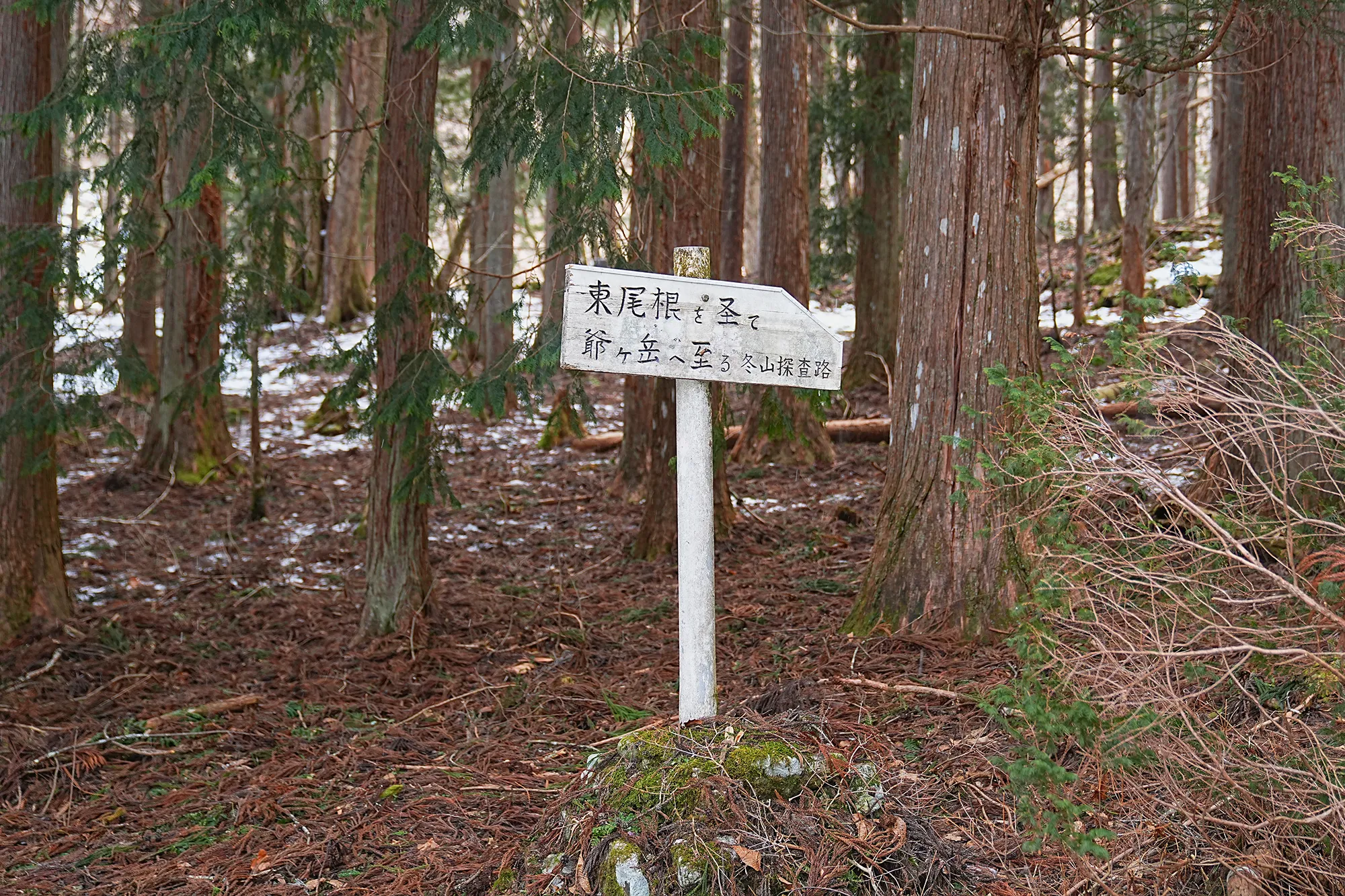 爺ヶ岳の冬季バリエーション「東尾根」で雪上テント泊！