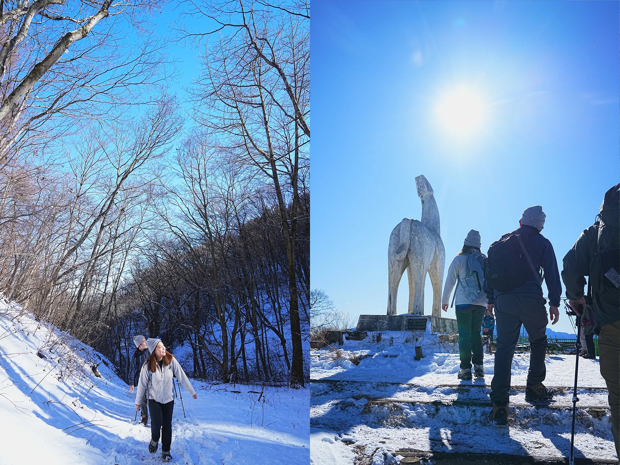 陣馬山ハイキング