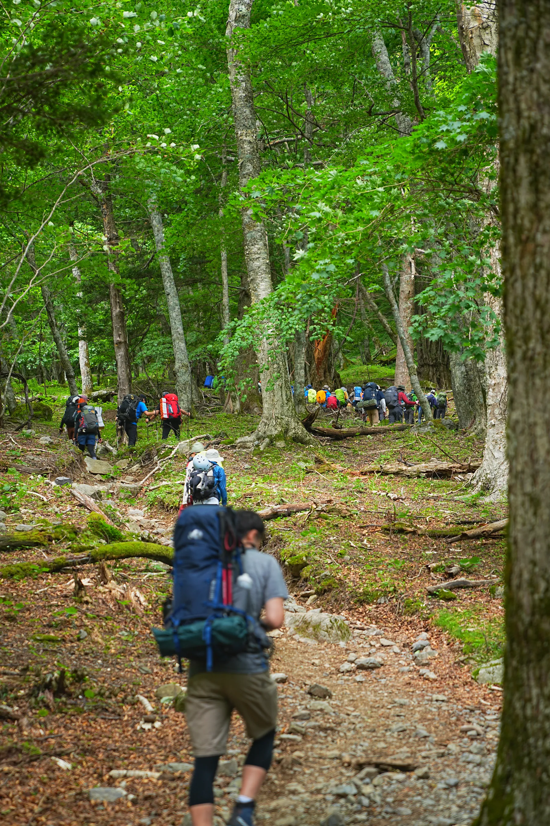 2024年7月 北岳/間ノ岳 北岳山荘泊登山