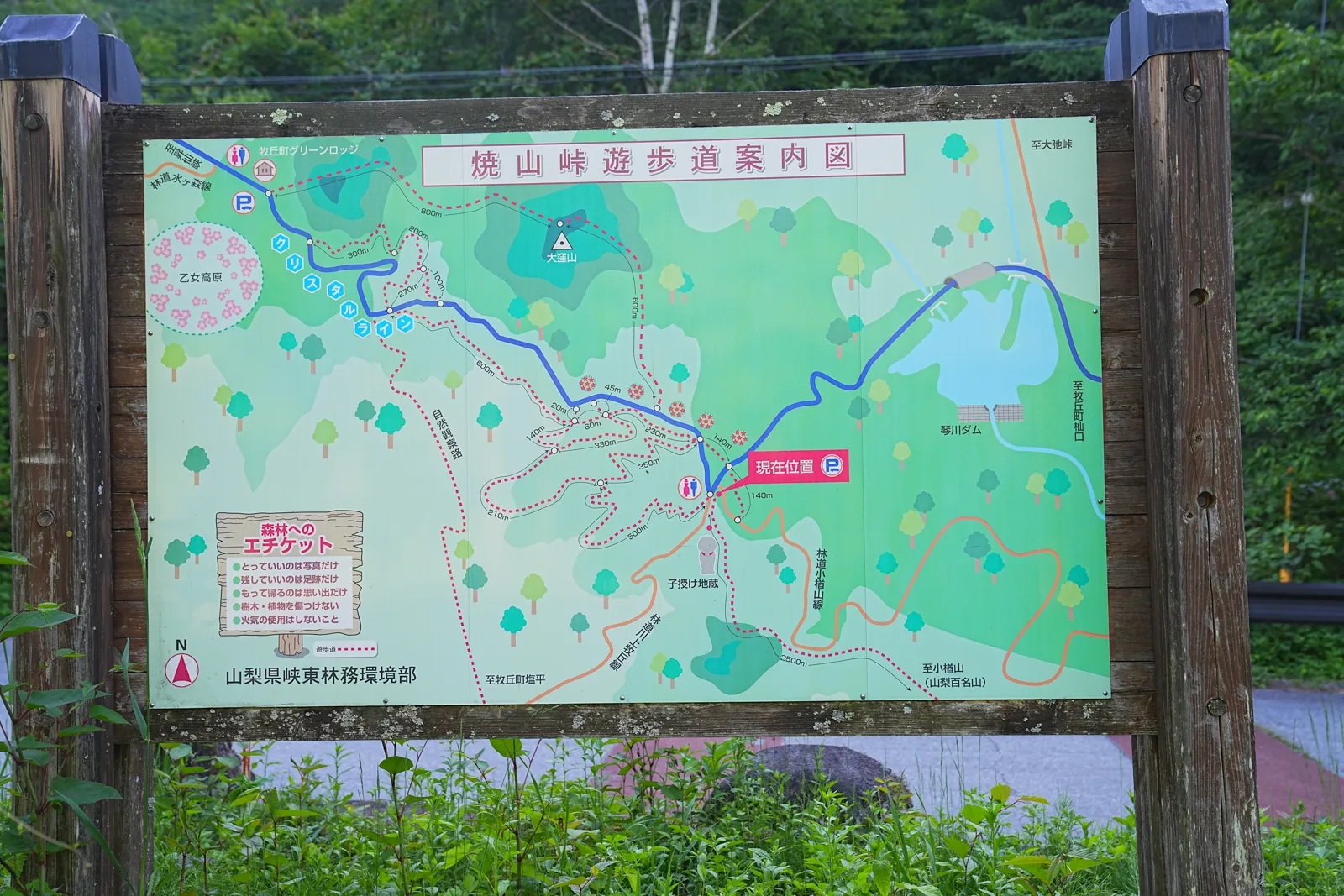 片道1時間で富士山の絶景！山梨「小楢山」日帰り登山