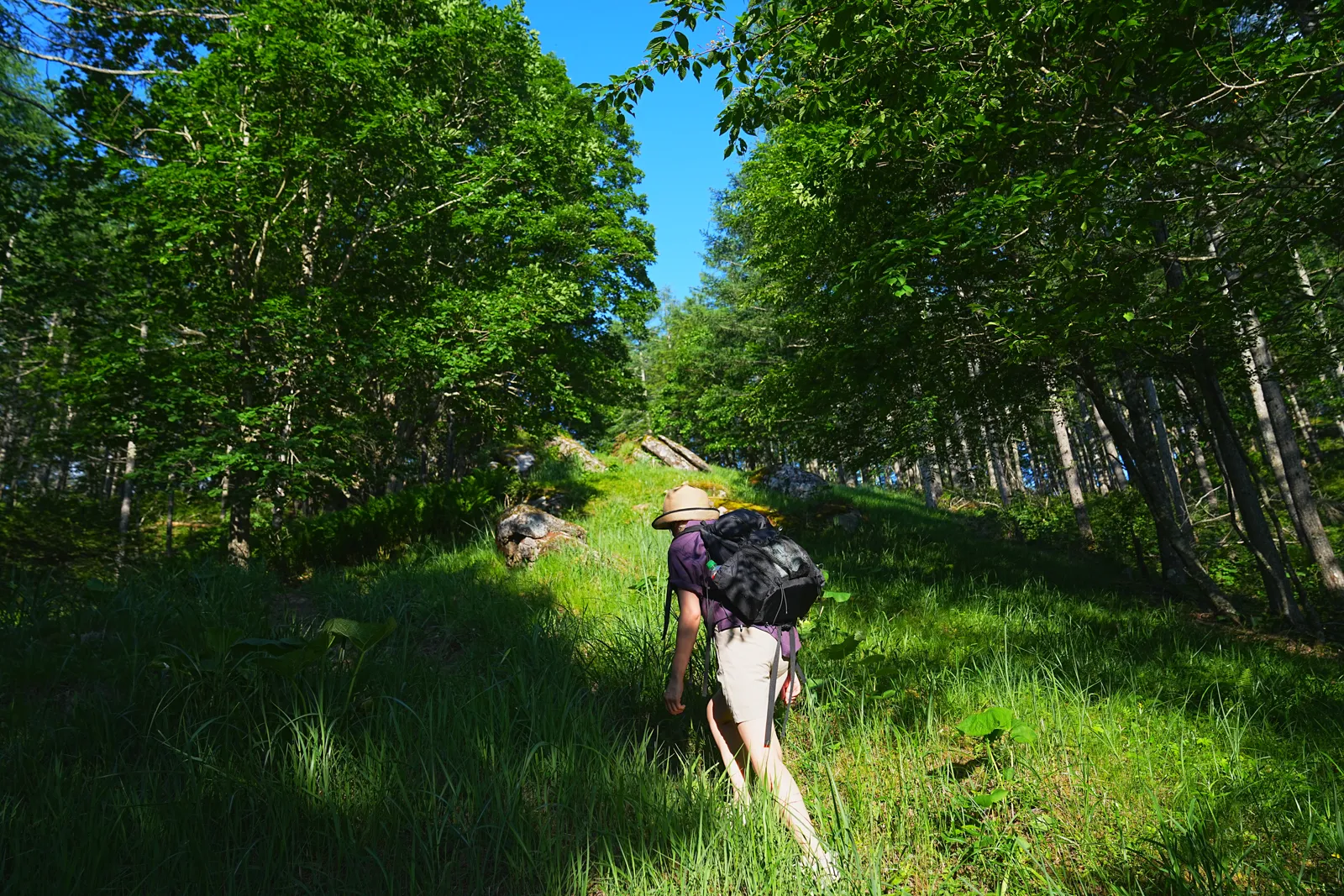 片道1時間で富士山の絶景！山梨「小楢山」日帰り登山