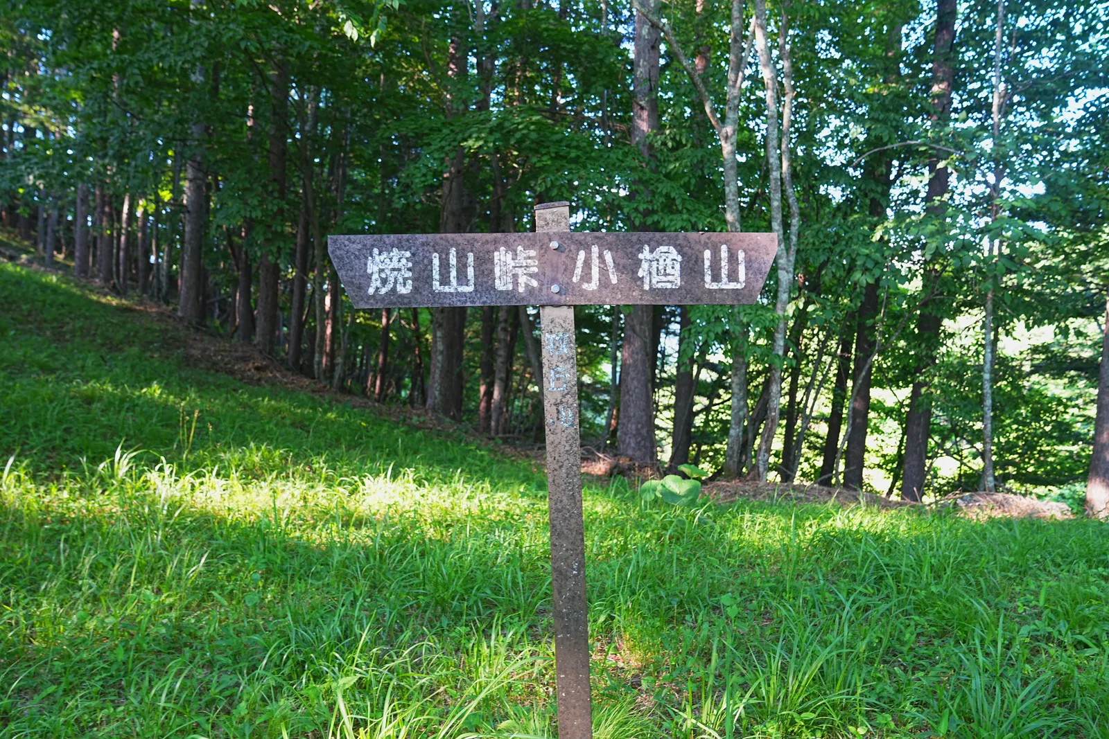片道1時間で富士山の絶景！山梨「小楢山」日帰り登山