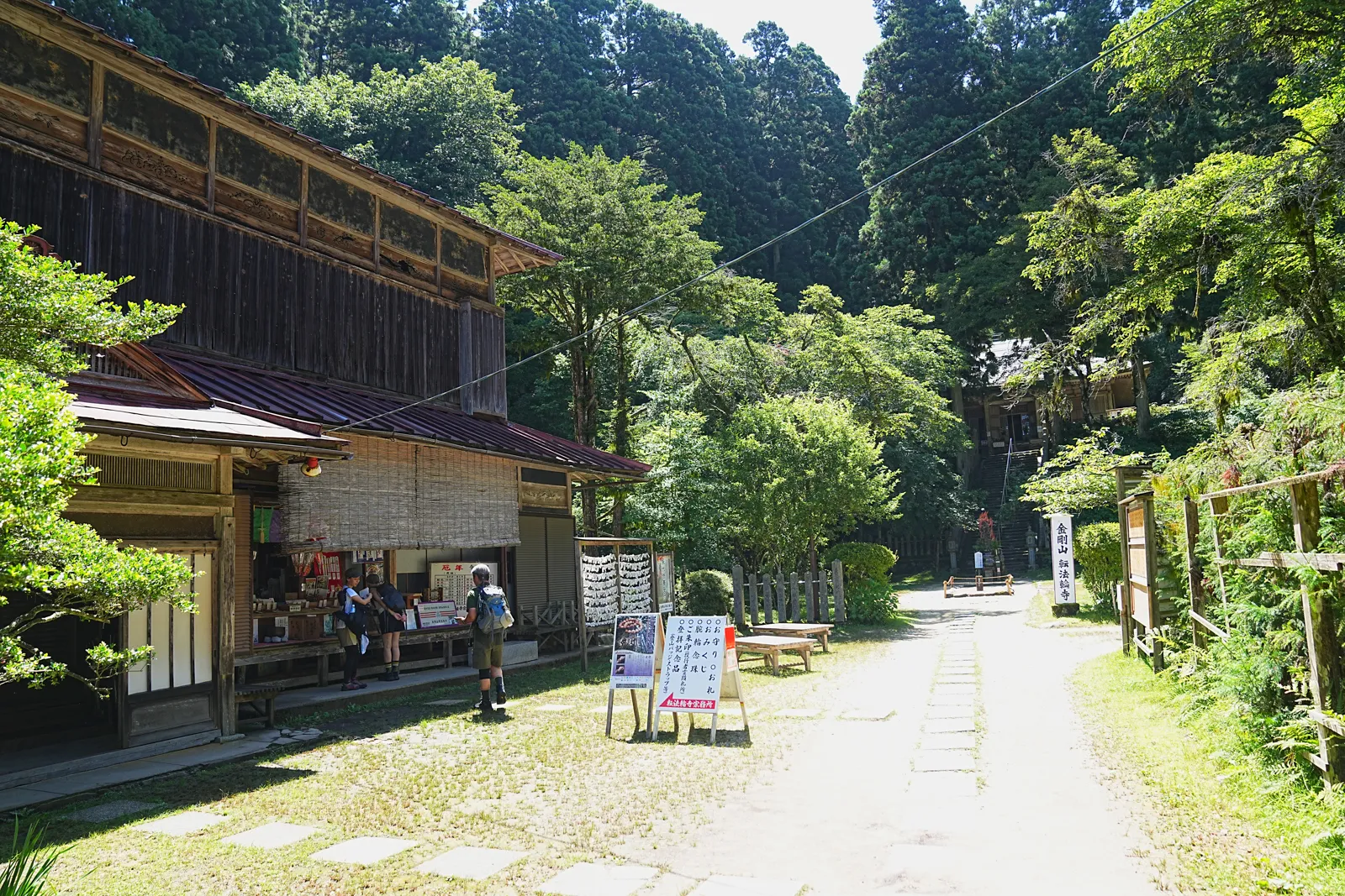 初夏の金剛山を木漏れ日登山！