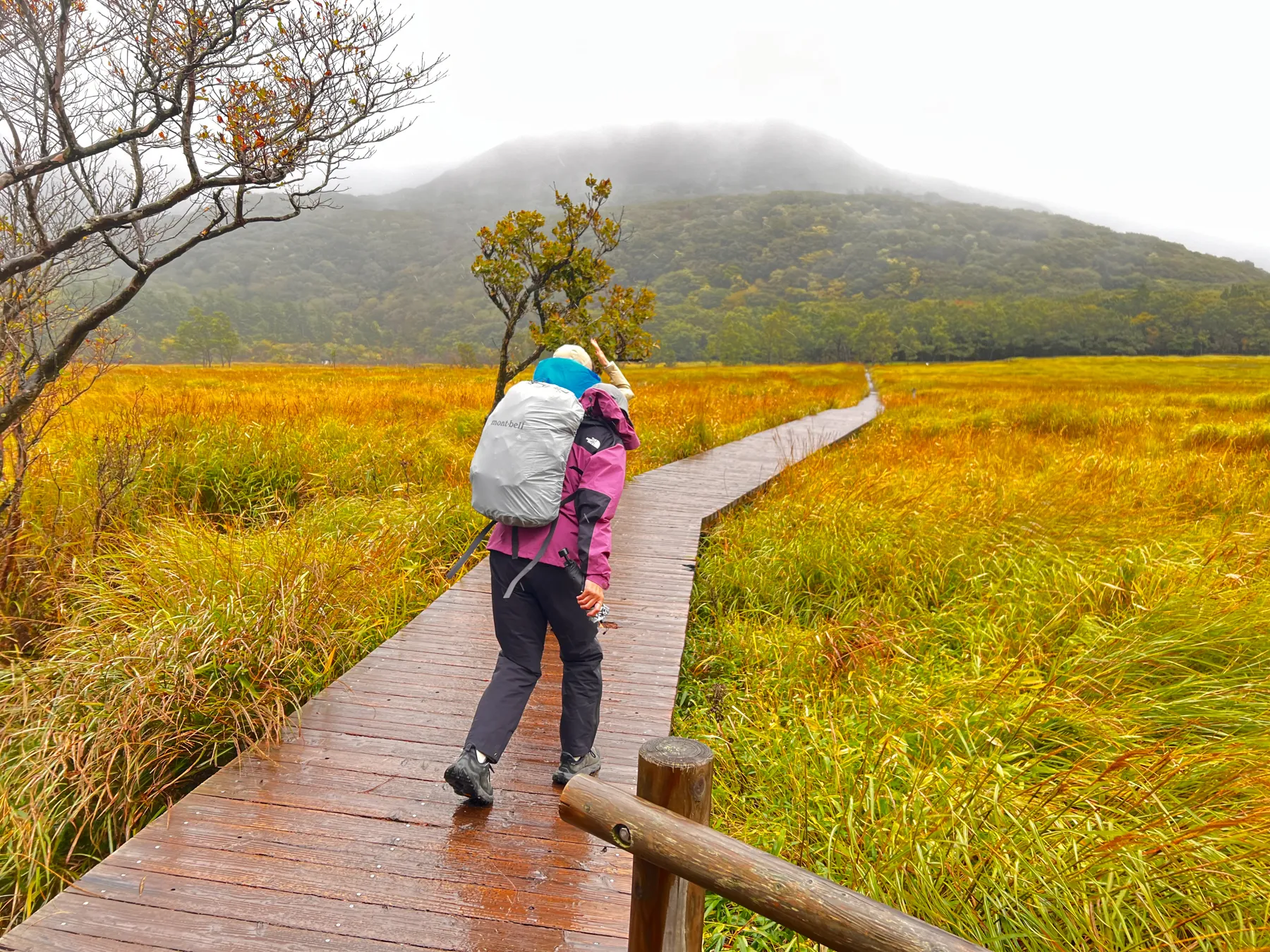 雨の九重からの阿蘇草千里！法華院温泉宿泊レポート