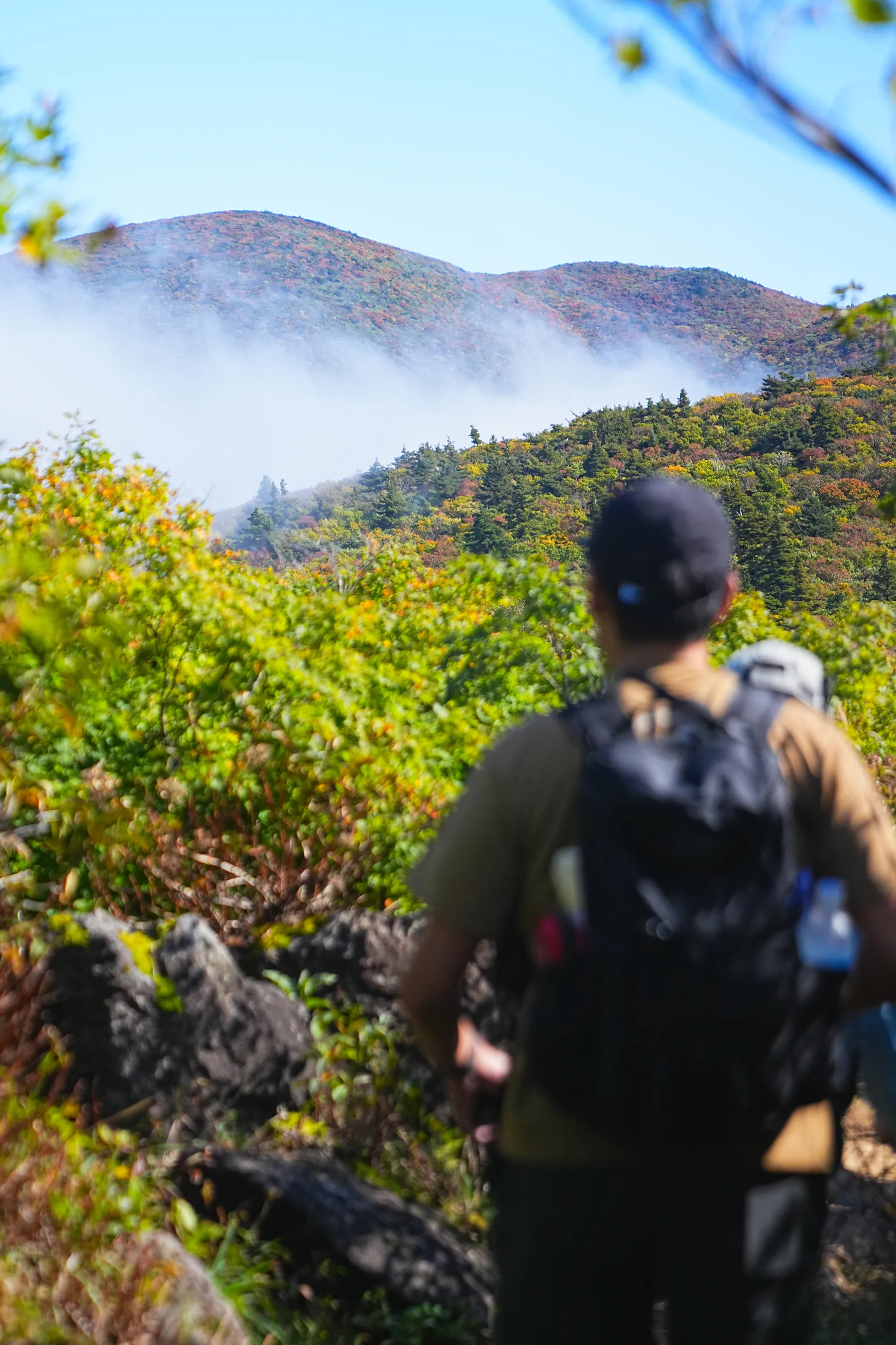 紅葉に染まる 東北・栗駒山 紅葉ハイキング