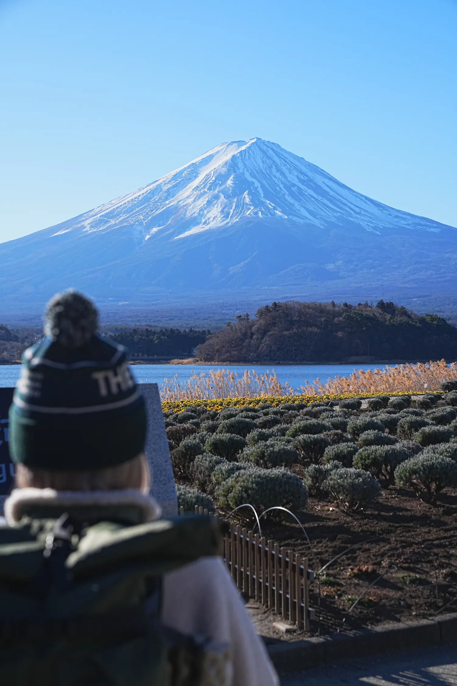 巨大富士山を望む黒岳登山！