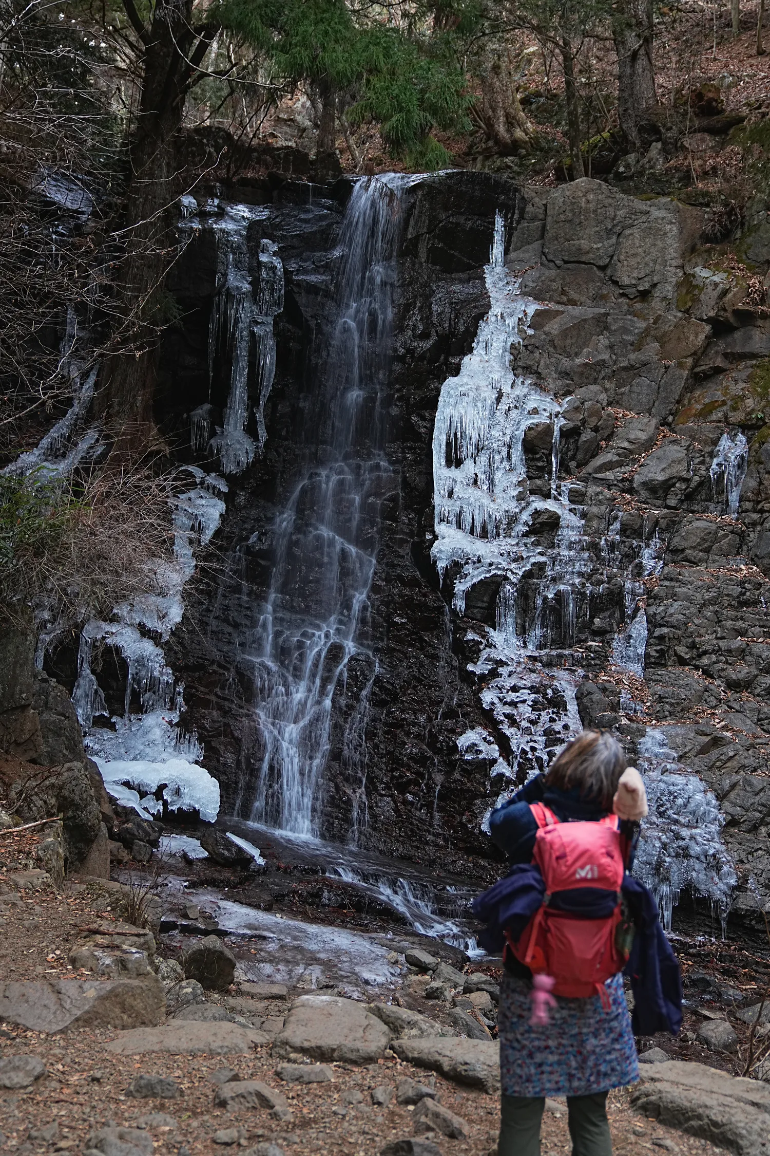 巨大な富士山を見に、山梨県 三ツ峠山へ