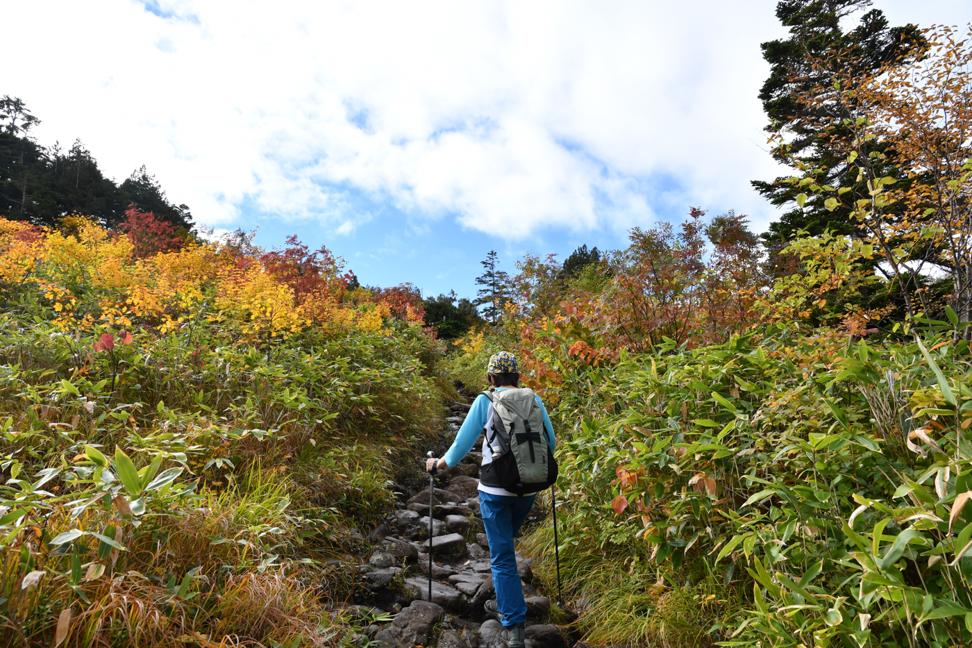 苗場山 登山