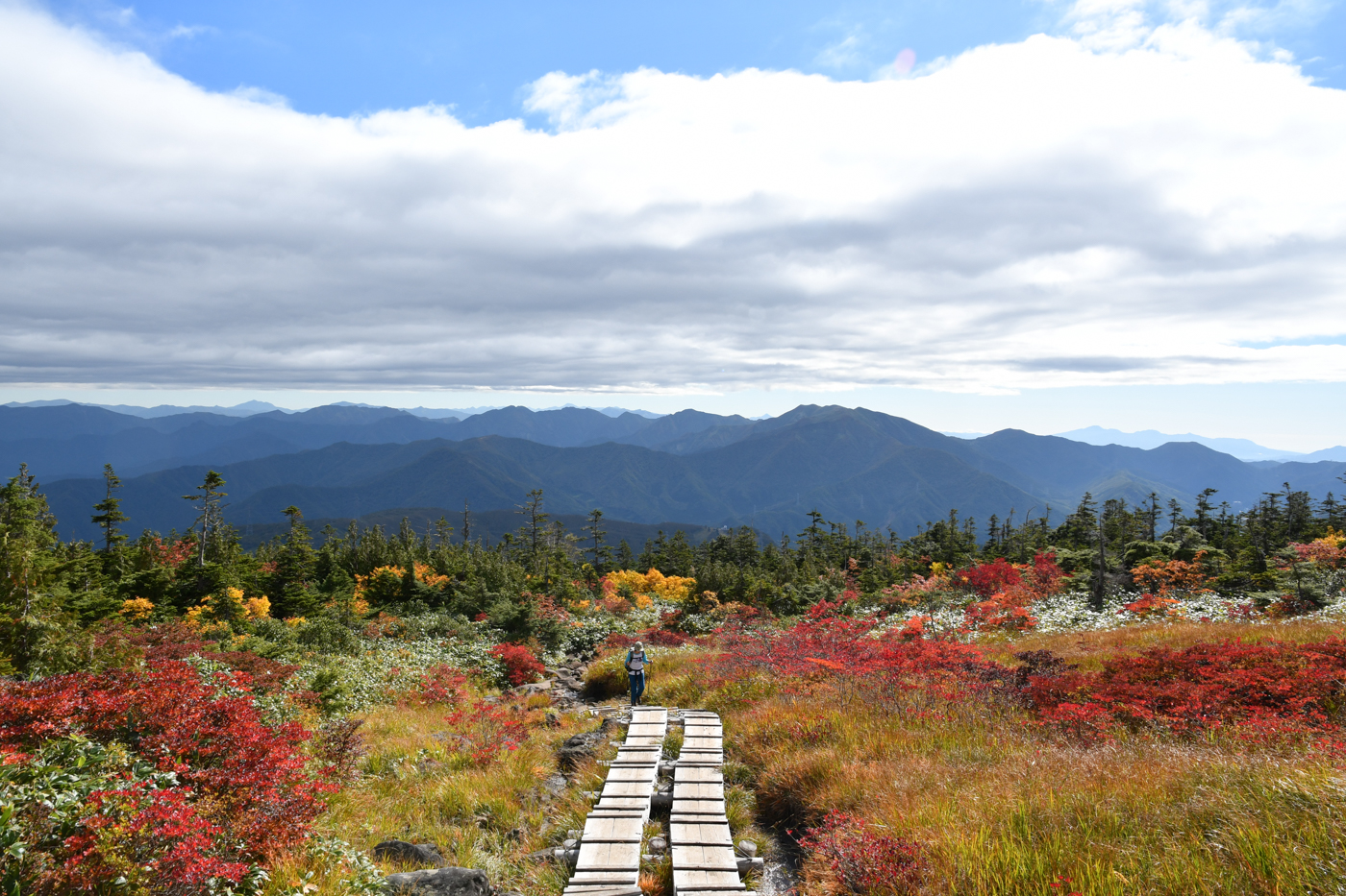 苗場山 登山