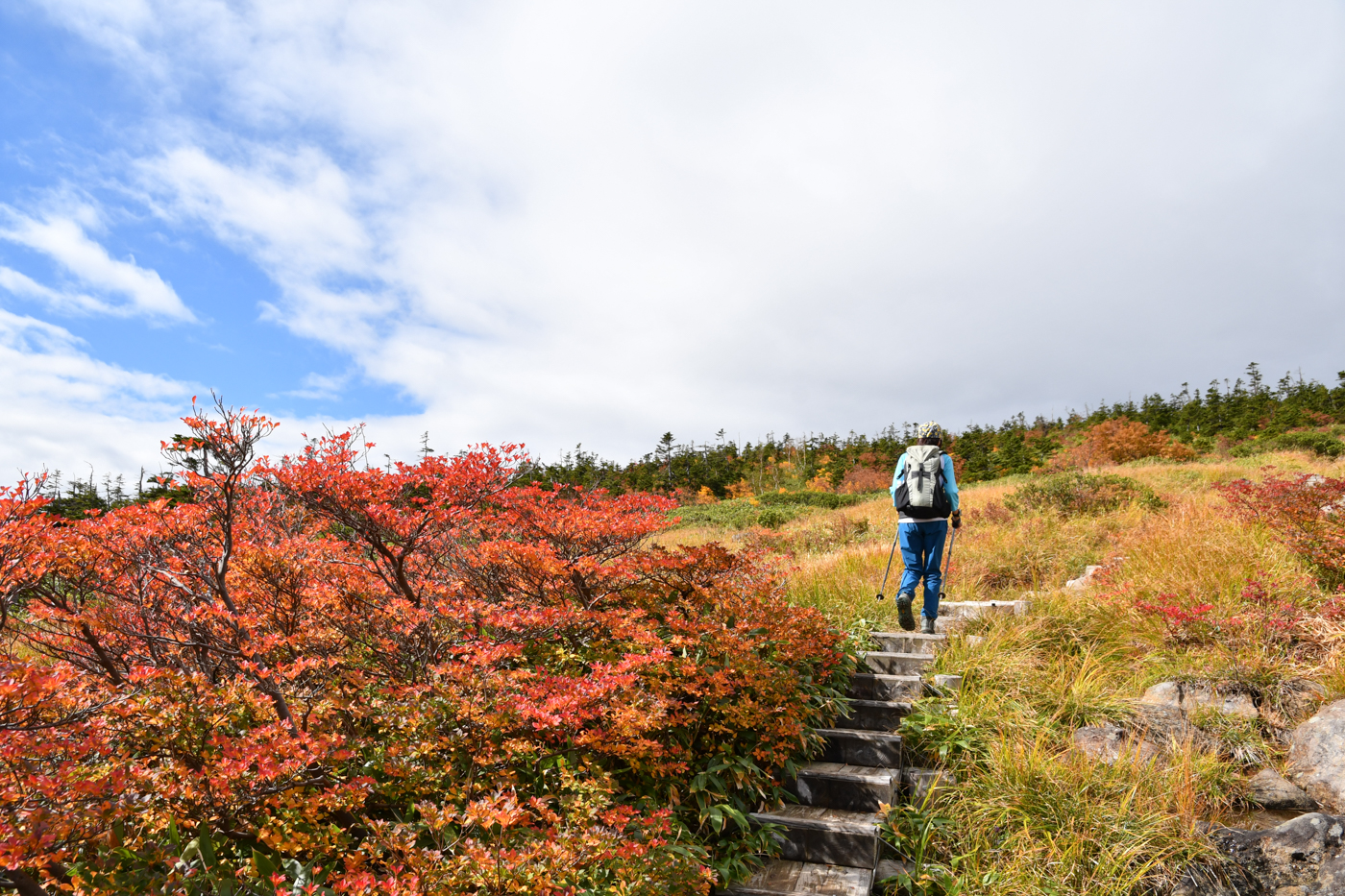 苗場山 登山