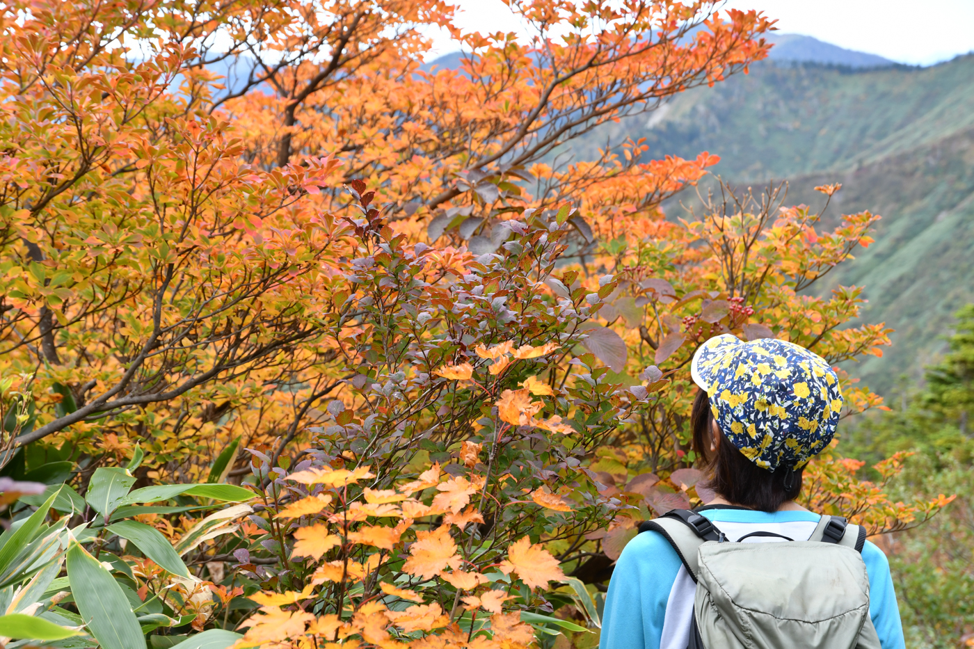 苗場山 登山