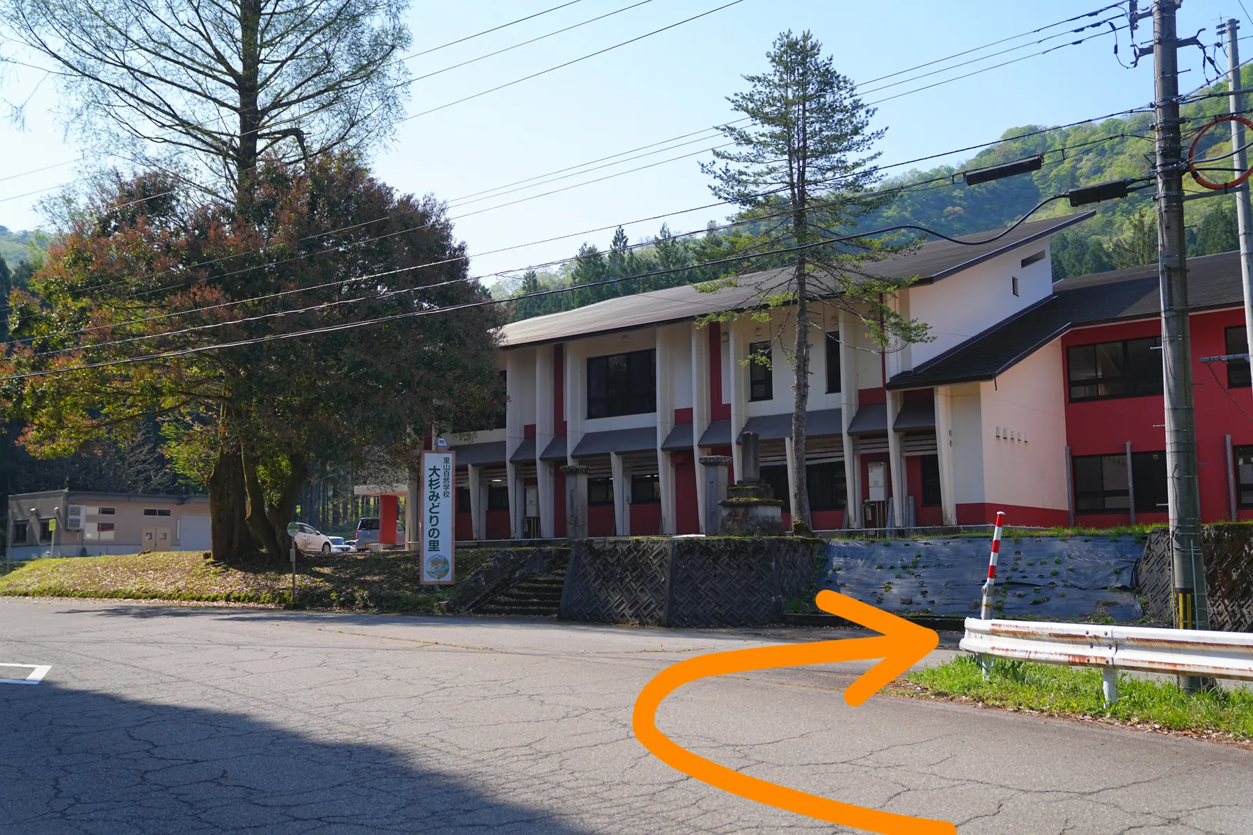 石川県小松市 奥城山 シャクナゲ満開レポート