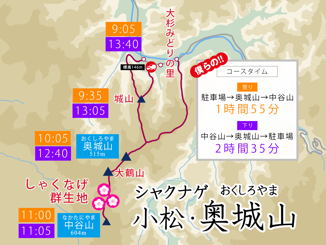 石川県小松市 奥城山 シャクナゲ満開レポート