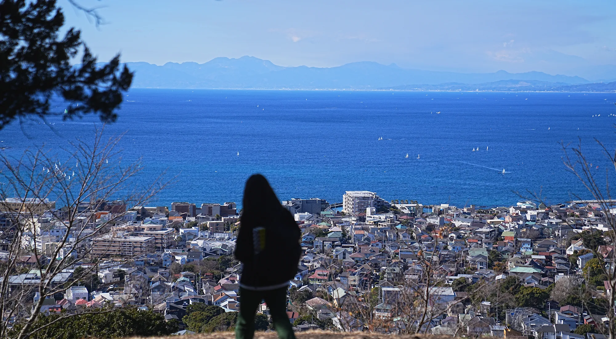 葉山・仙元山ハイキング