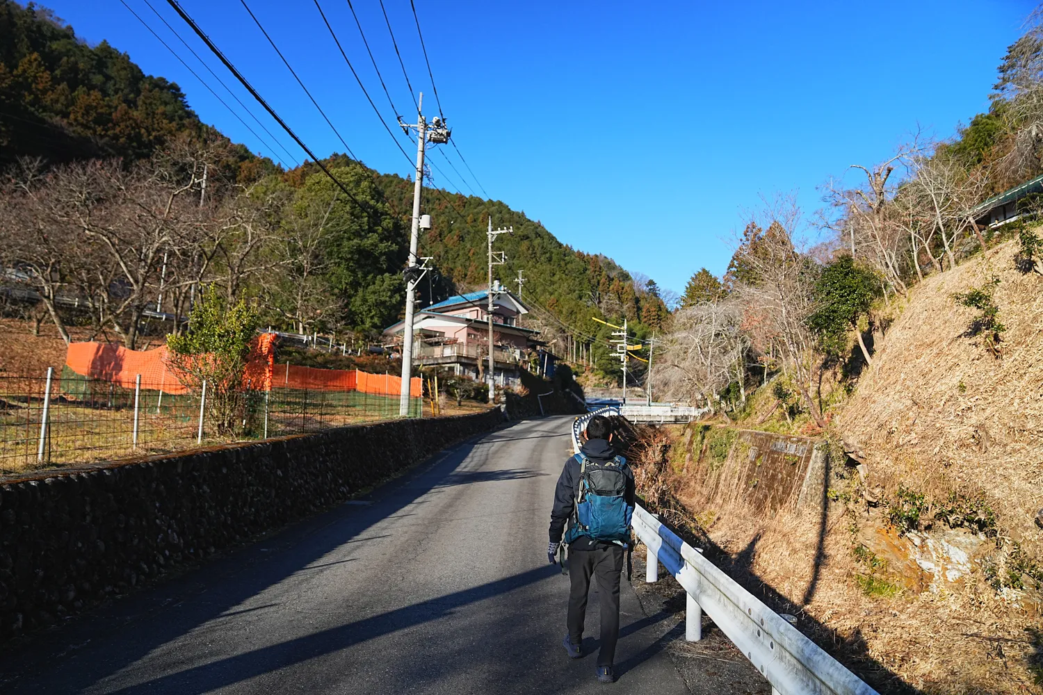 奥多摩 高水三山をのんびりグルッと登山