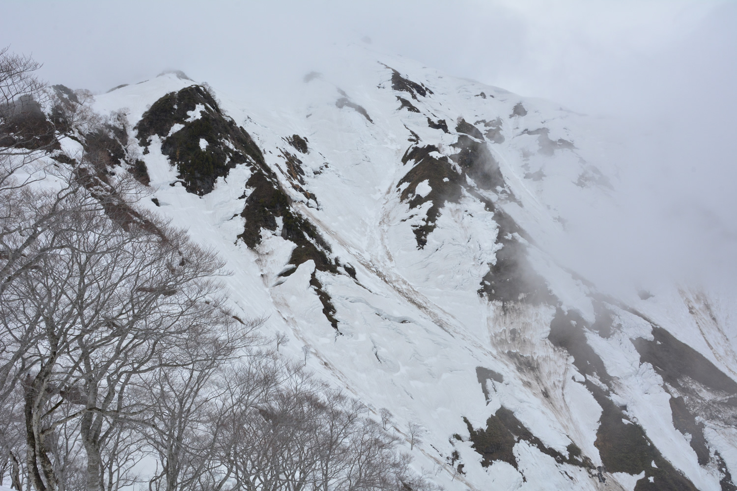 谷川岳 登山 4月
