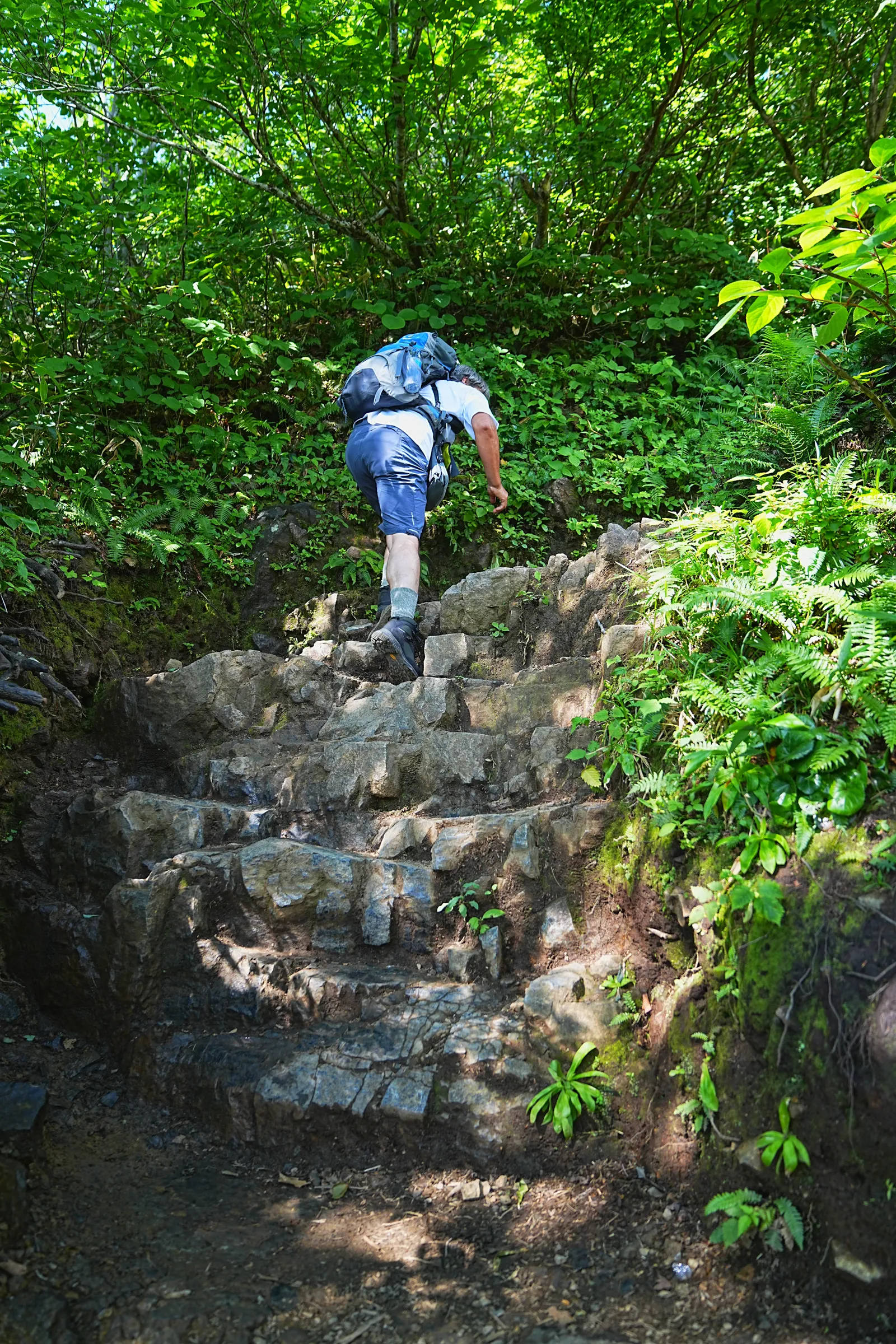 夏休みに谷川岳へ日帰り登山！