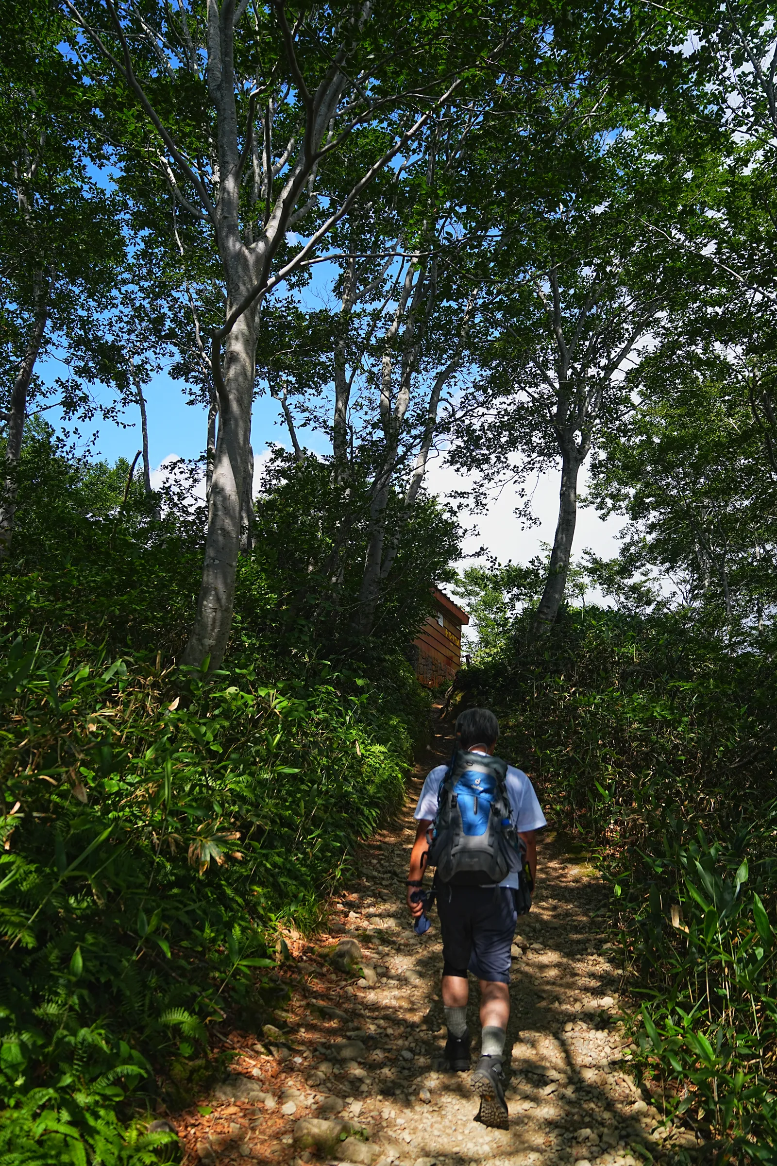 夏休みに谷川岳へ日帰り登山！