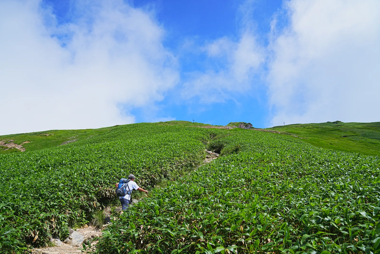 夏休みに谷川岳へ日帰り登山！