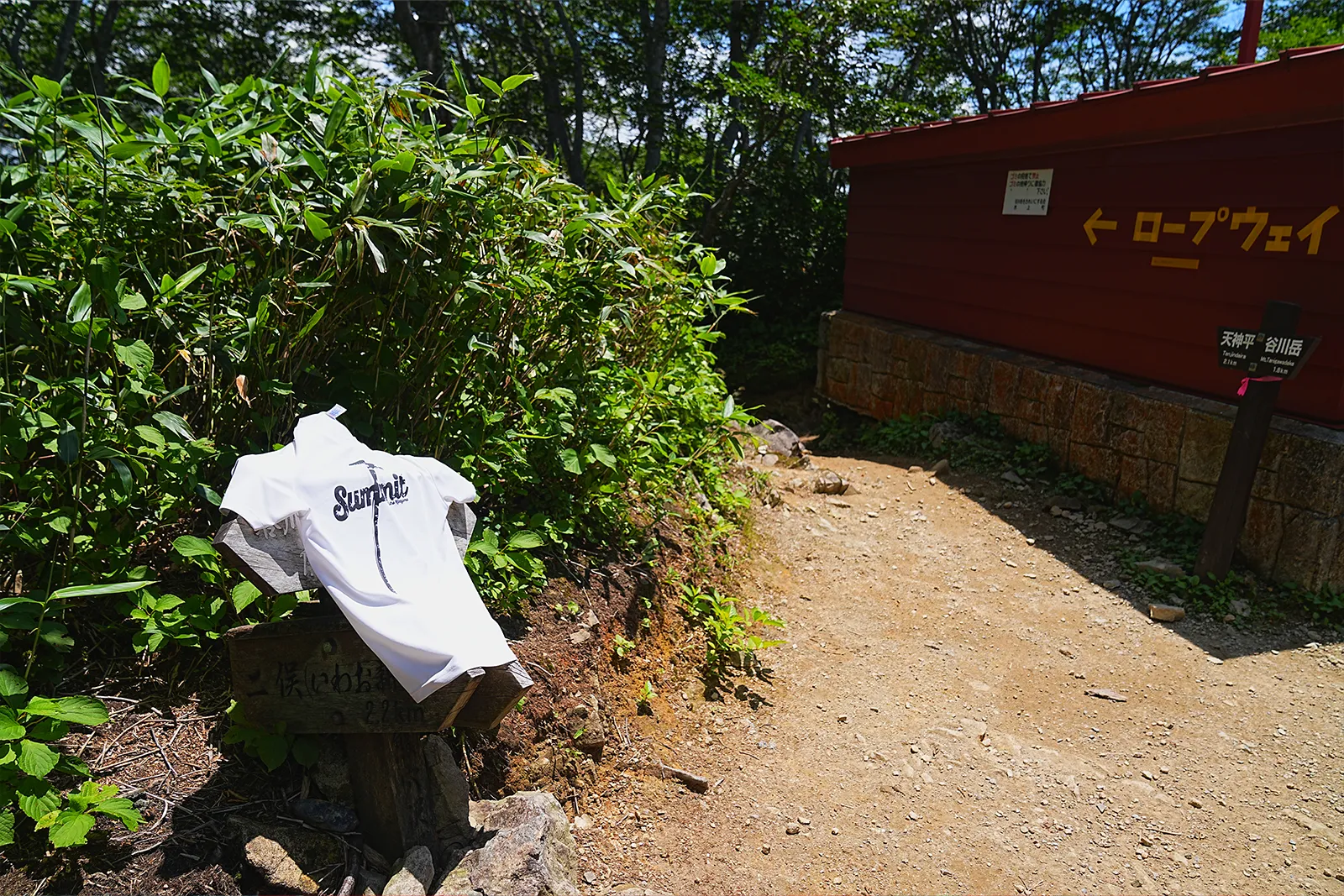 夏休みに谷川岳へ日帰り登山！