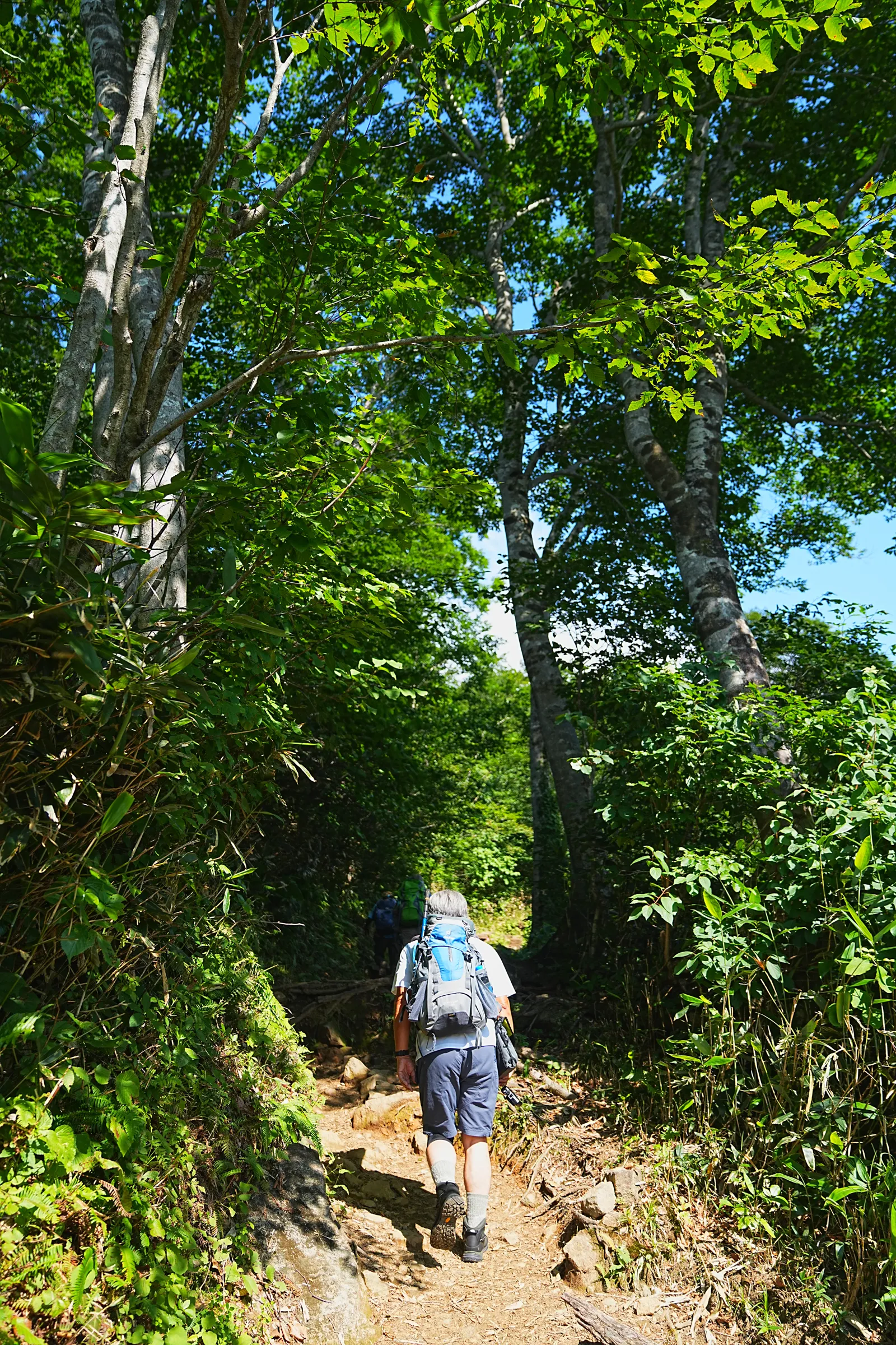 夏休みに谷川岳へ日帰り登山！