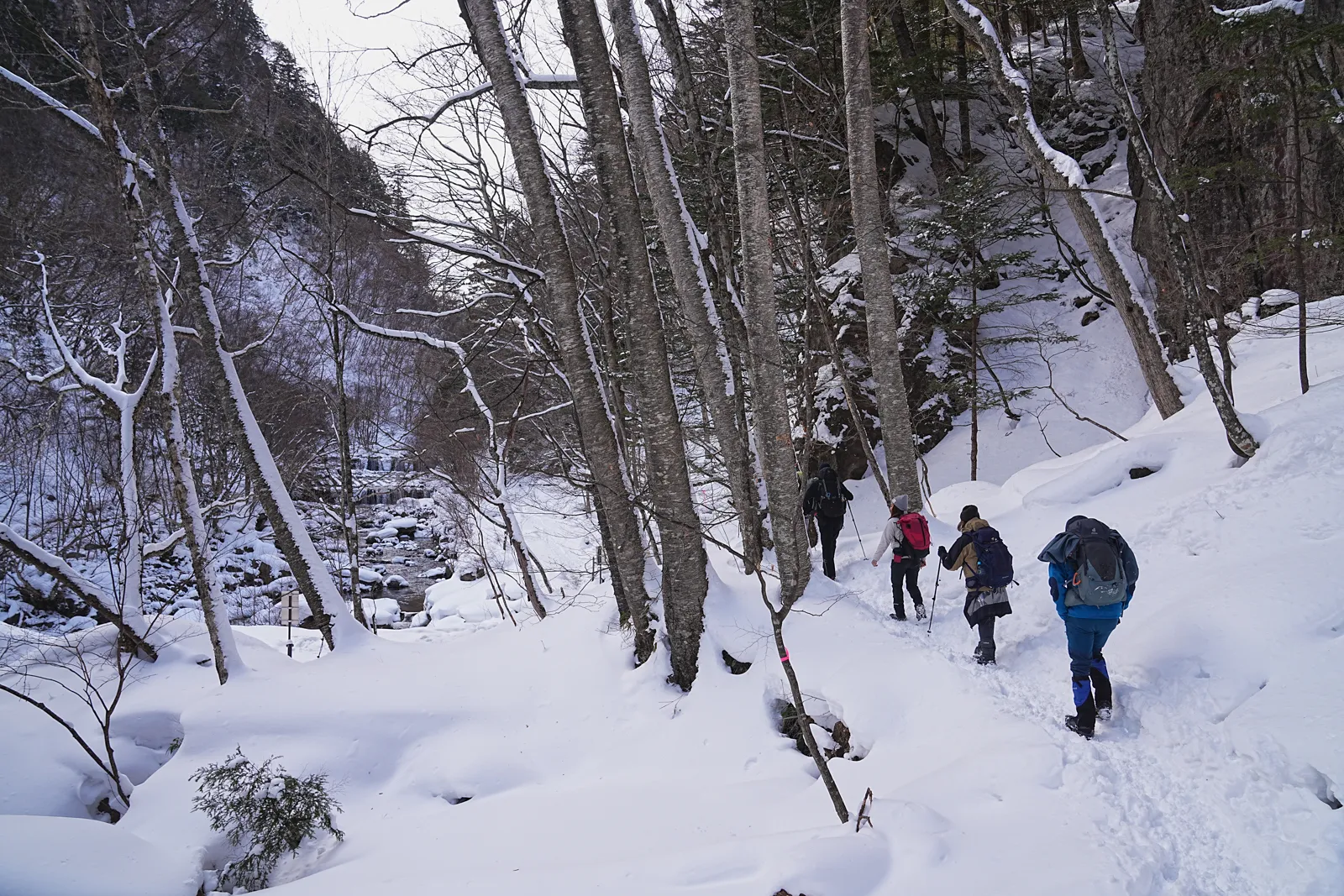 奥鬼怒の秘湯を求めて、手白澤温泉へ雪上ハイキング