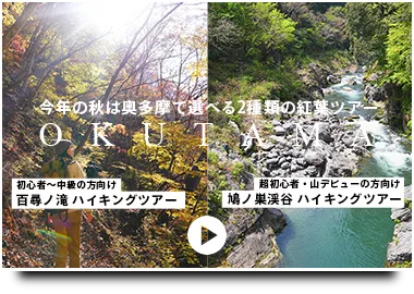 ECサイトへようこそ