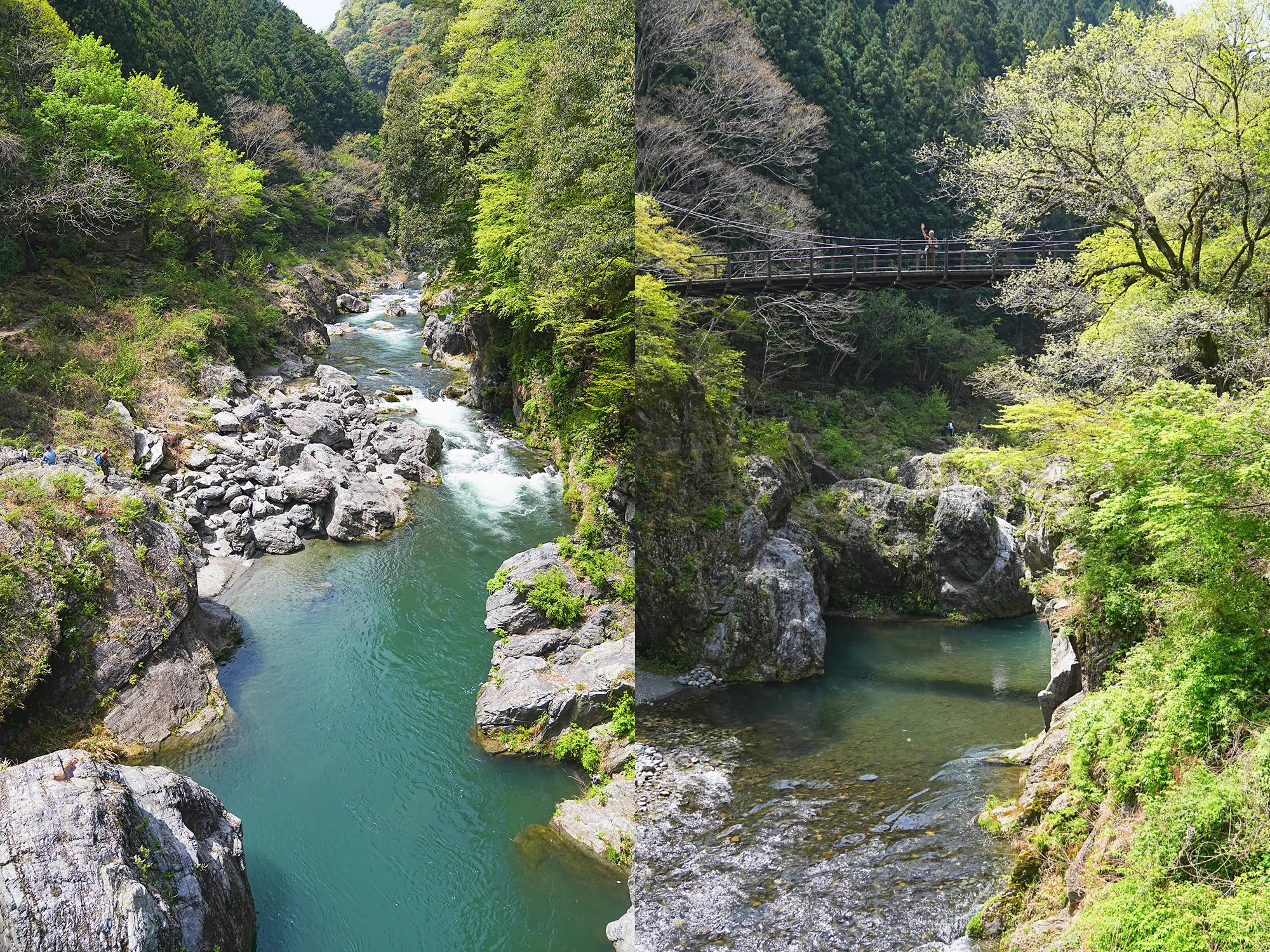 百尋ノ滝ハイキングツアー