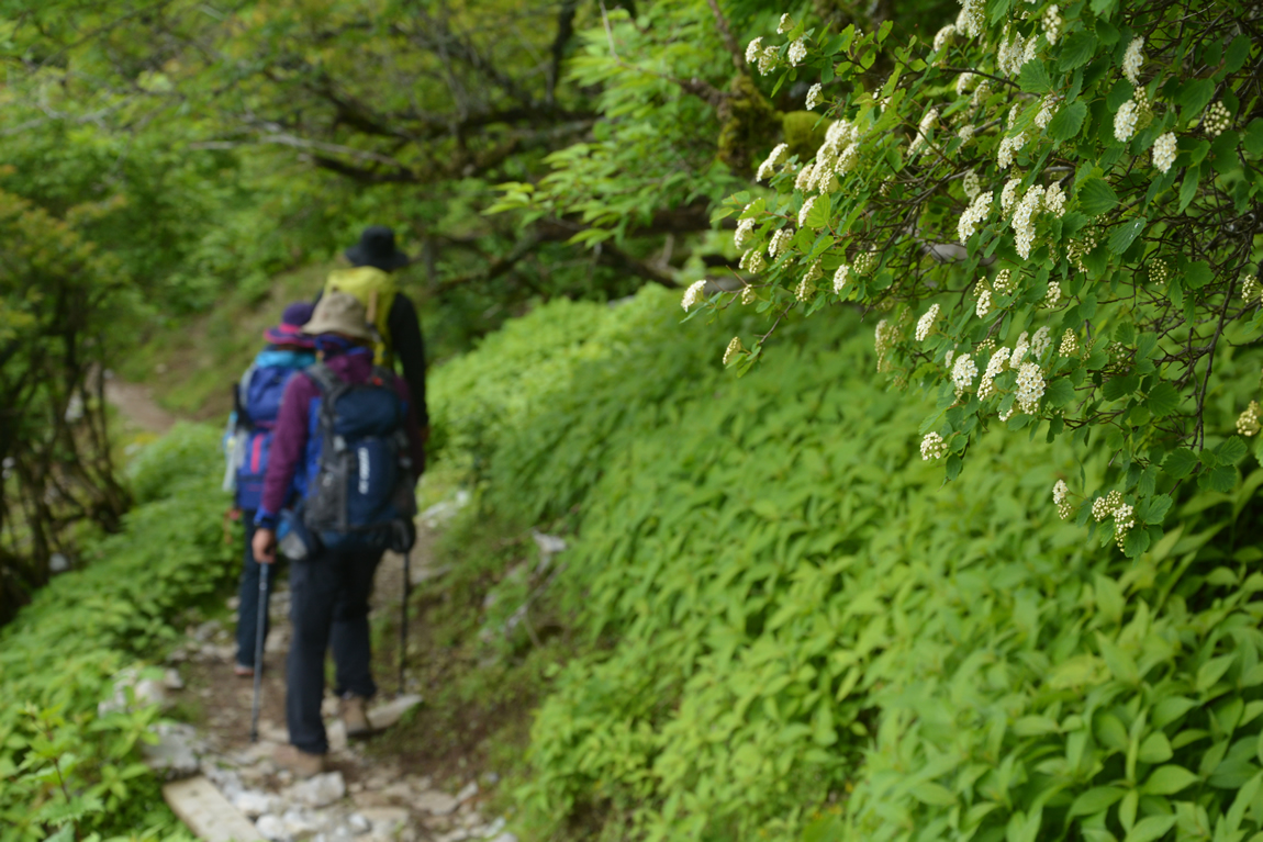 剣山 登山