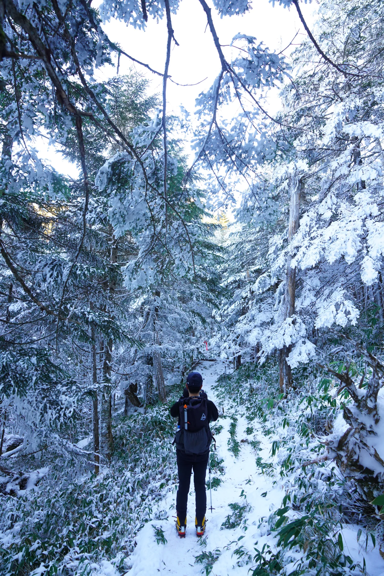 北横岳・縞枯山｜雪景色の北八ヶ岳ハイキング