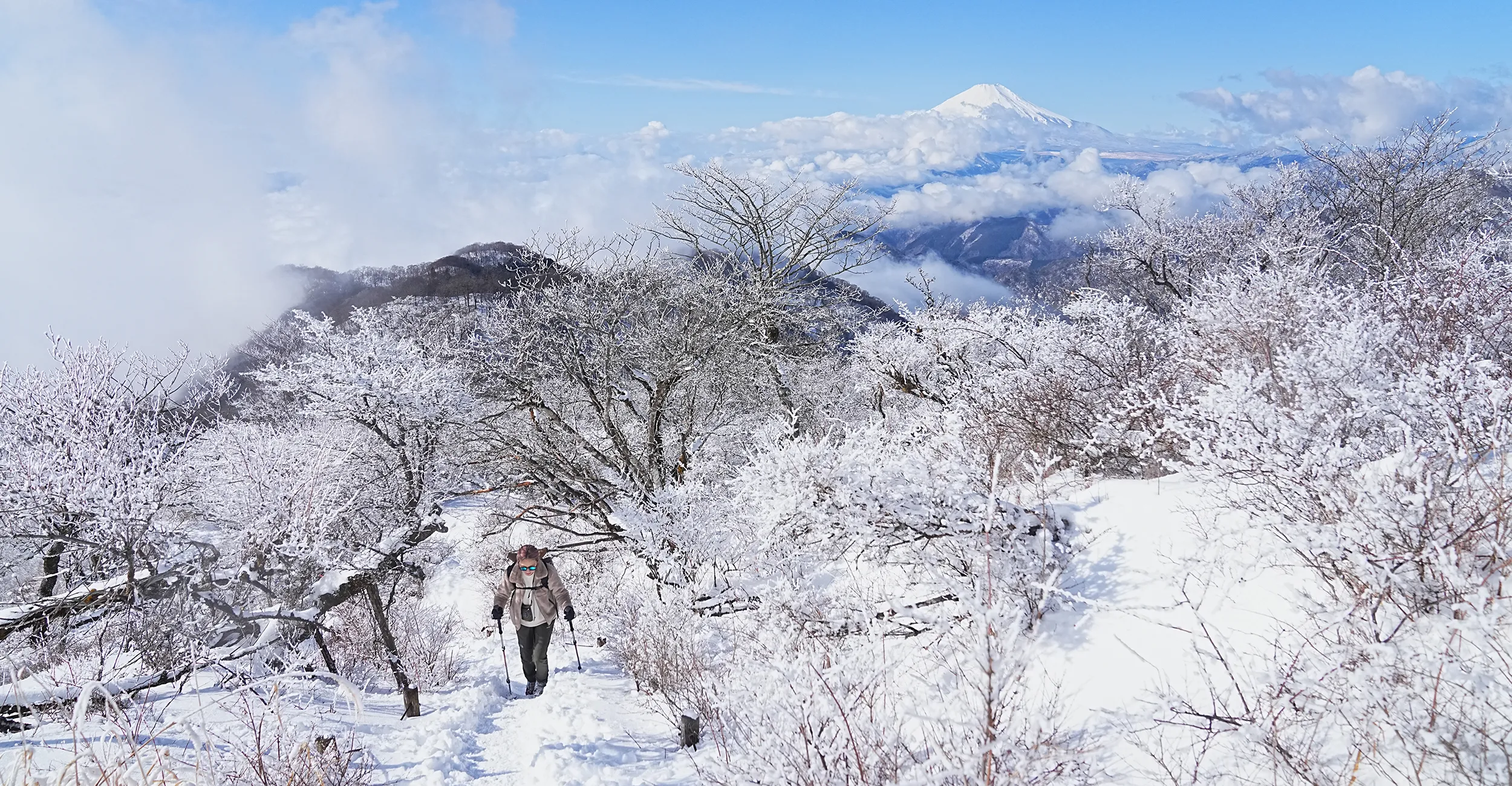 雪の丹沢・塔ノ岳！大倉尾根ピストン登山！